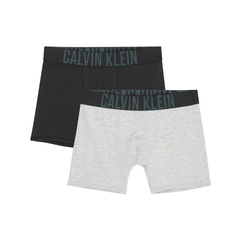Calvin Klein Boys 2 Pack Trunks Intense Power Boxer Briefs - Kids Life  Clothing - Children's designer clothing