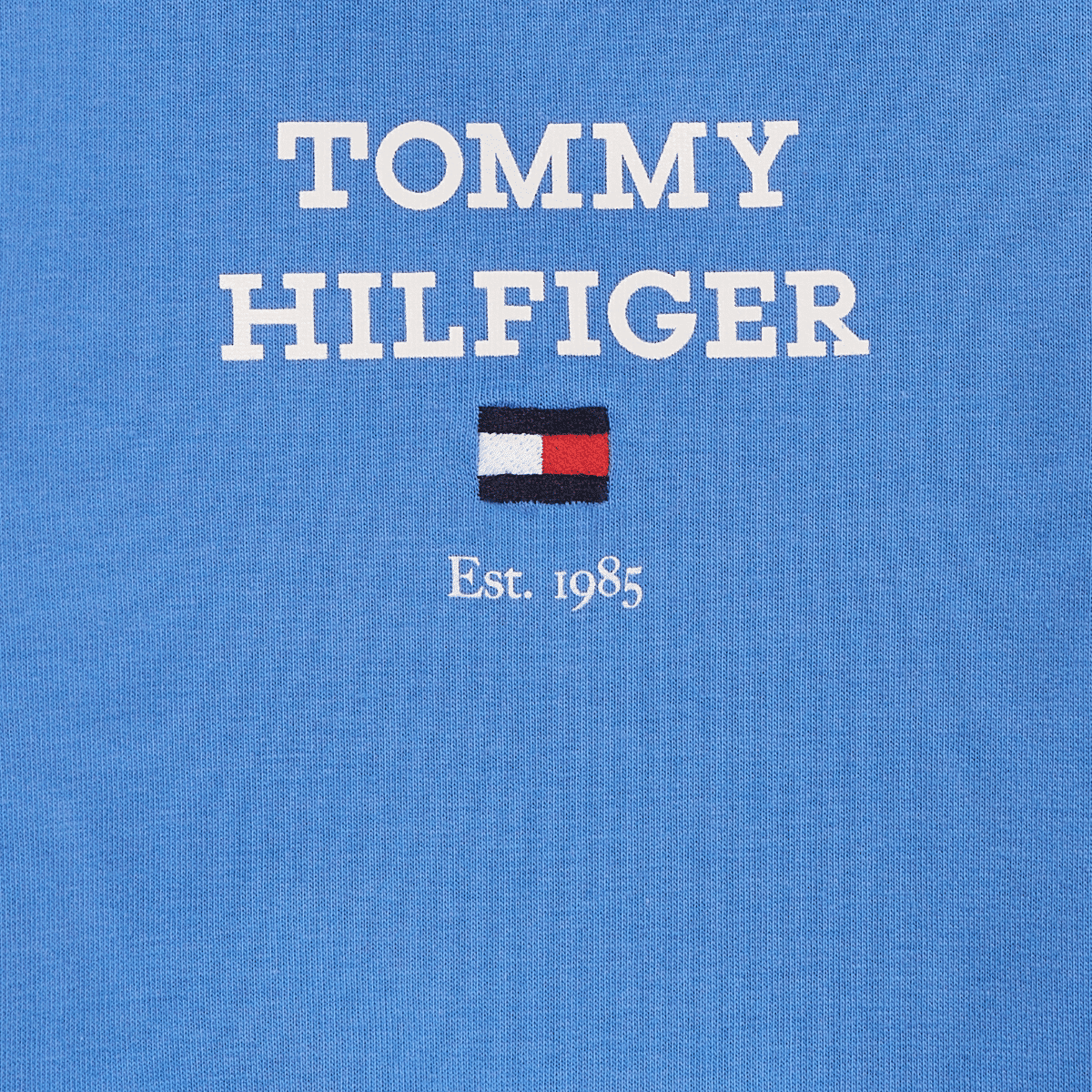 tommy hilfiger baby logo on blue background